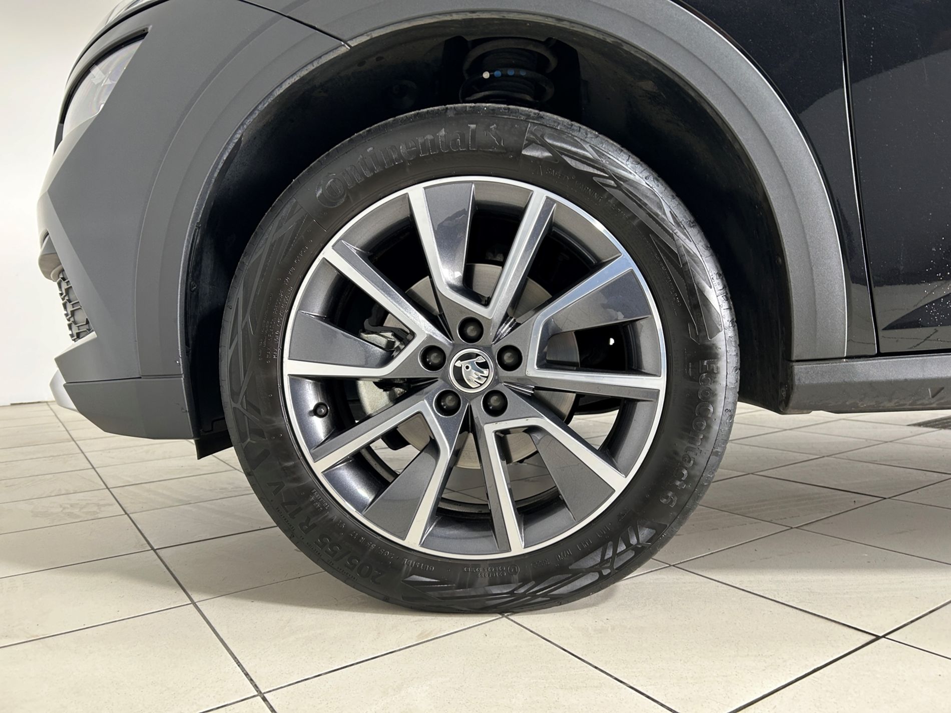 Skoda Kamiq 1.0 tsi Scoutline 110 cv dsg - Autoviemme